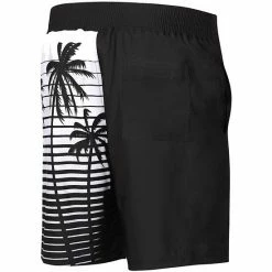 Men's G-III Sports By Carl Banks Black Detroit Lions Volley Swim Trunks -G-III Sales Store unnamed file 4286