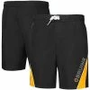 Men's G-III Sports By Carl Banks Black Boston Bruins Sunrise Volley Swim Shorts